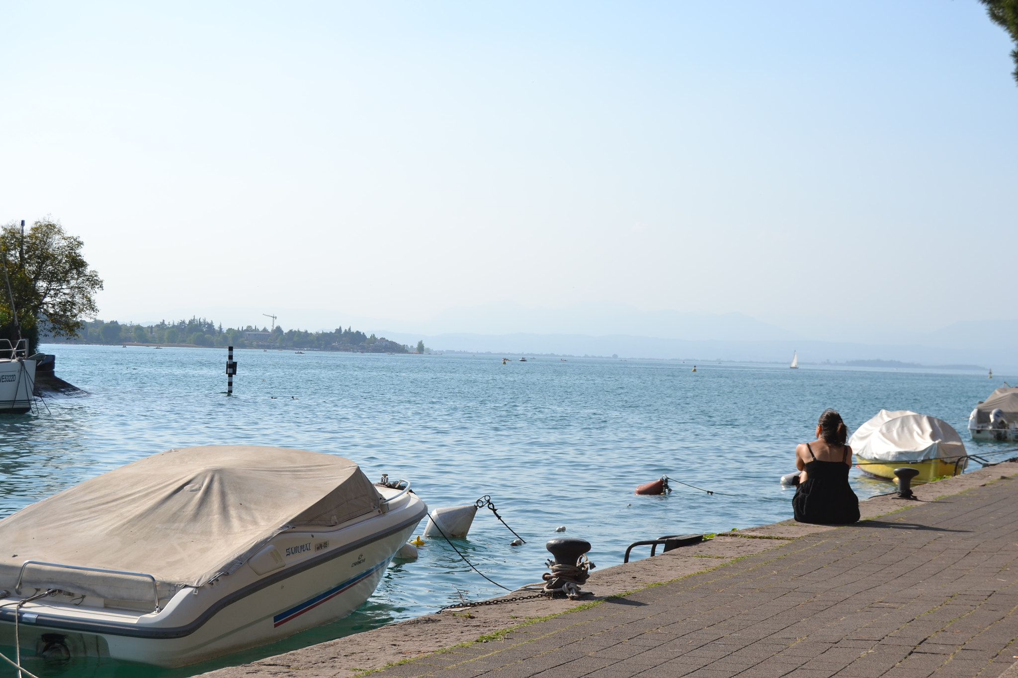 Nikon D3100 sample photo