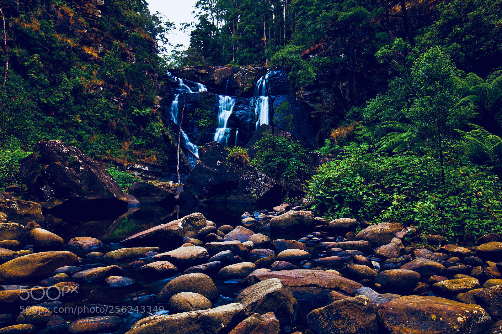 Canon EOS 6D sample photo. Stevensons falls photography
