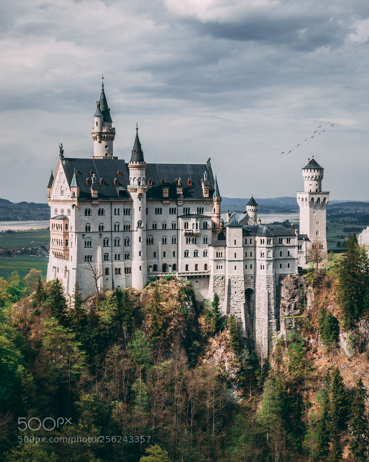 Canon EOS 600D (Rebel EOS T3i / EOS Kiss X5) sample photo. Neuschwanstein photography