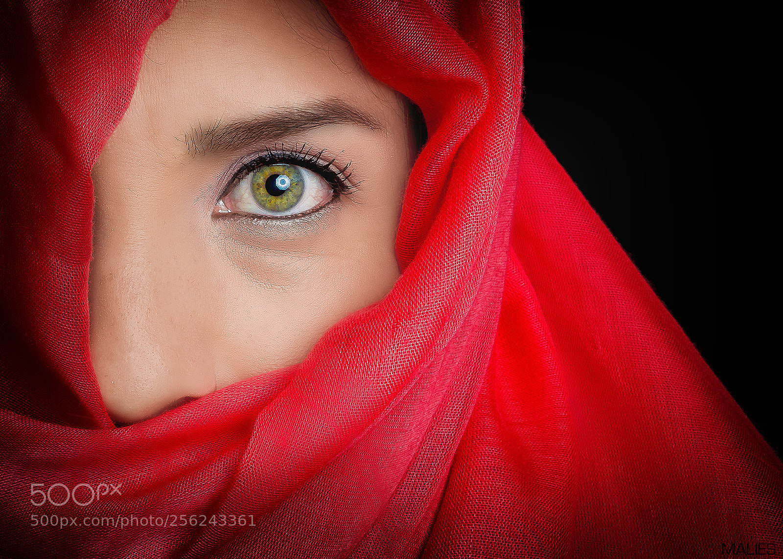 Canon EOS 6D sample photo. Hipnosis photography