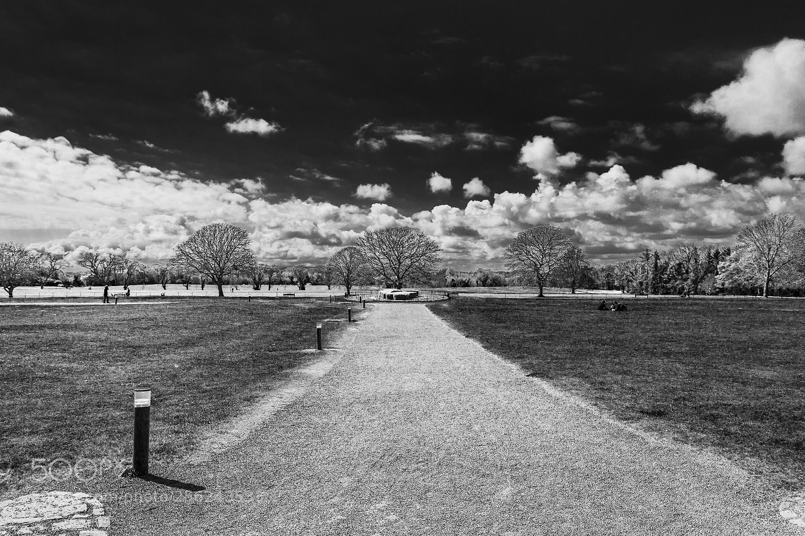 Canon EOS 700D (EOS Rebel T5i / EOS Kiss X7i) sample photo. Parco di malahide castle photography
