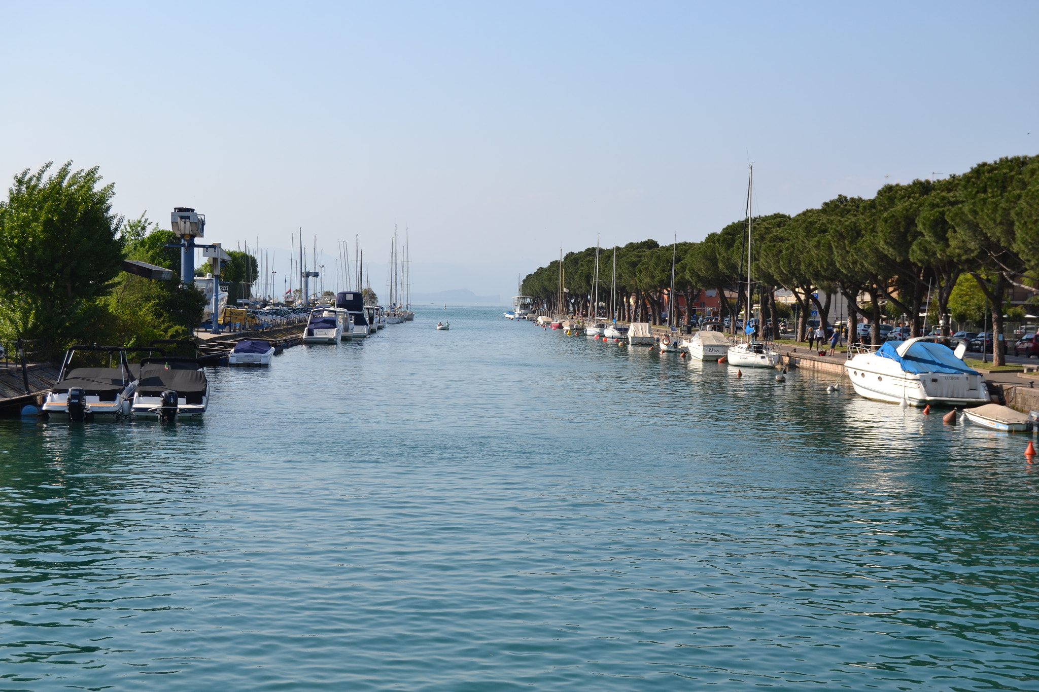 Nikon D3100 sample photo