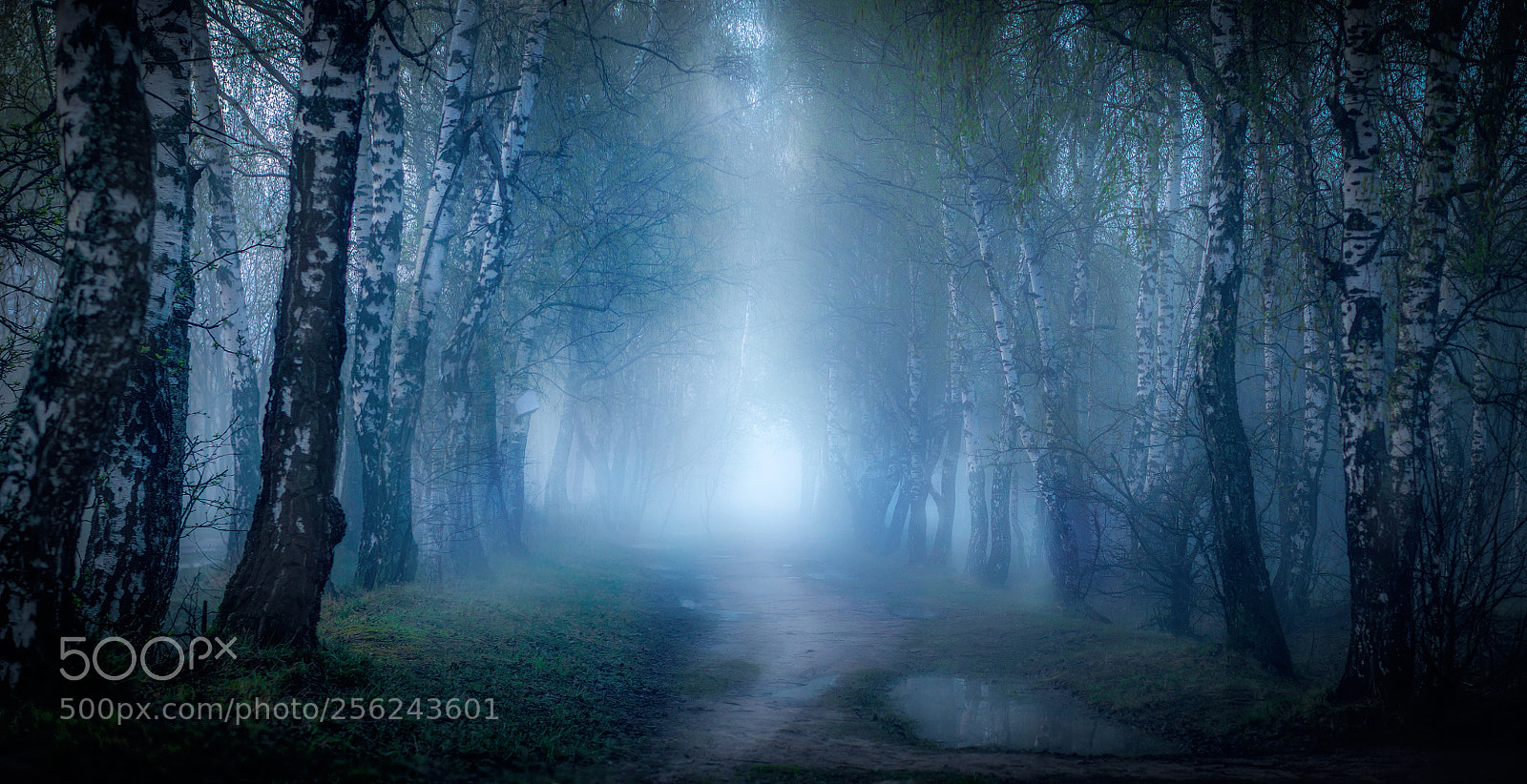 Sony a6000 sample photo. Mist after the storm photography