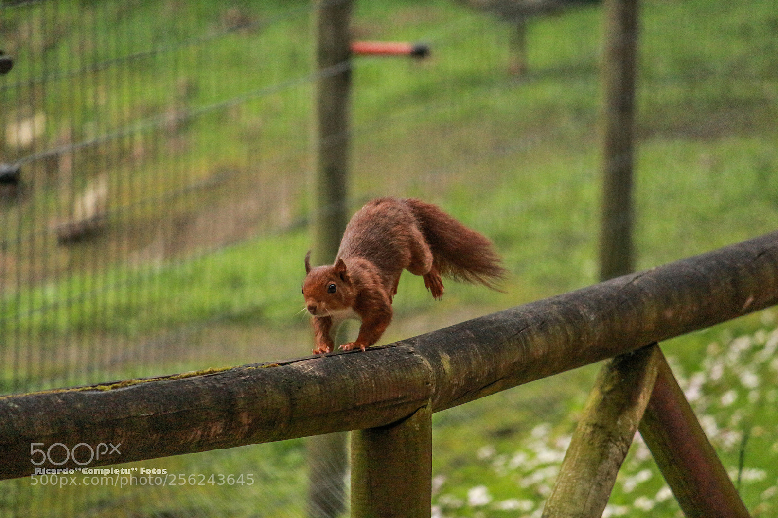 Canon EOS 700D (EOS Rebel T5i / EOS Kiss X7i) sample photo. El salto photography