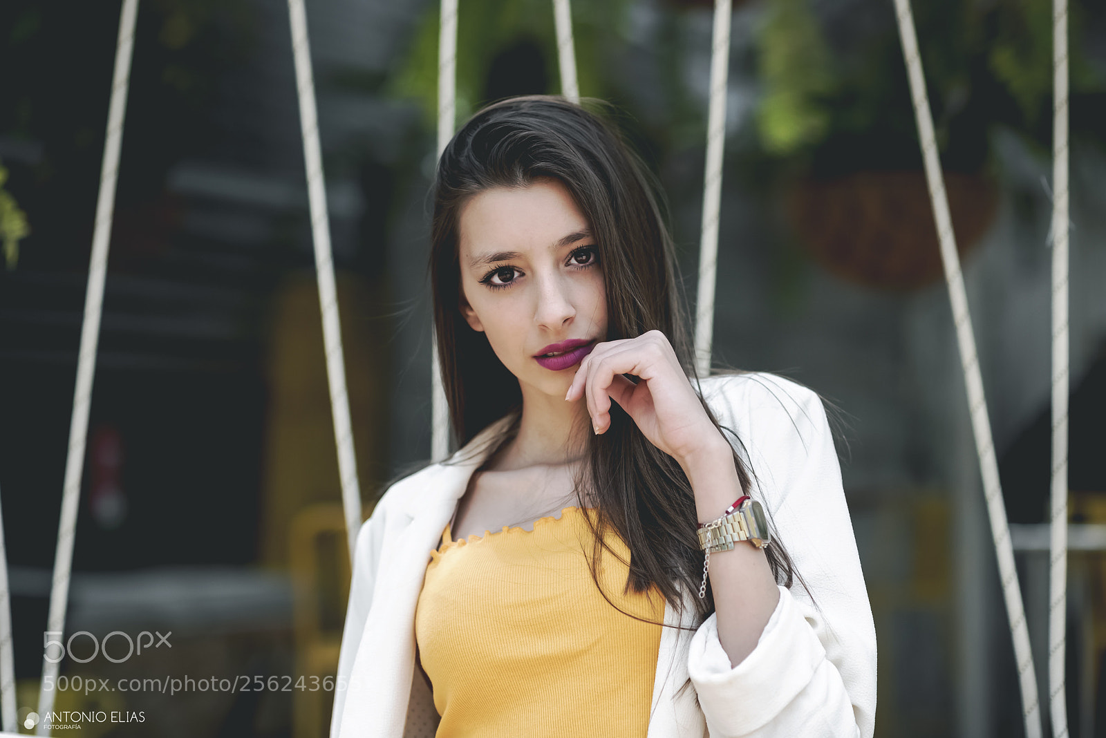 Nikon D750 sample photo. Untitled photography