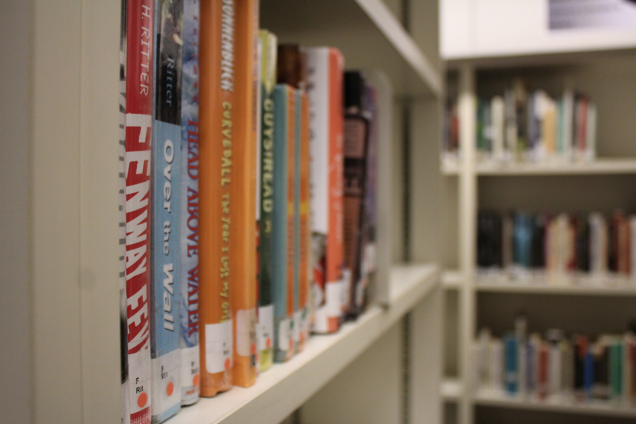 Canon EF-S 18-55mm F3.5-5.6 IS sample photo. Cheney high school library photography