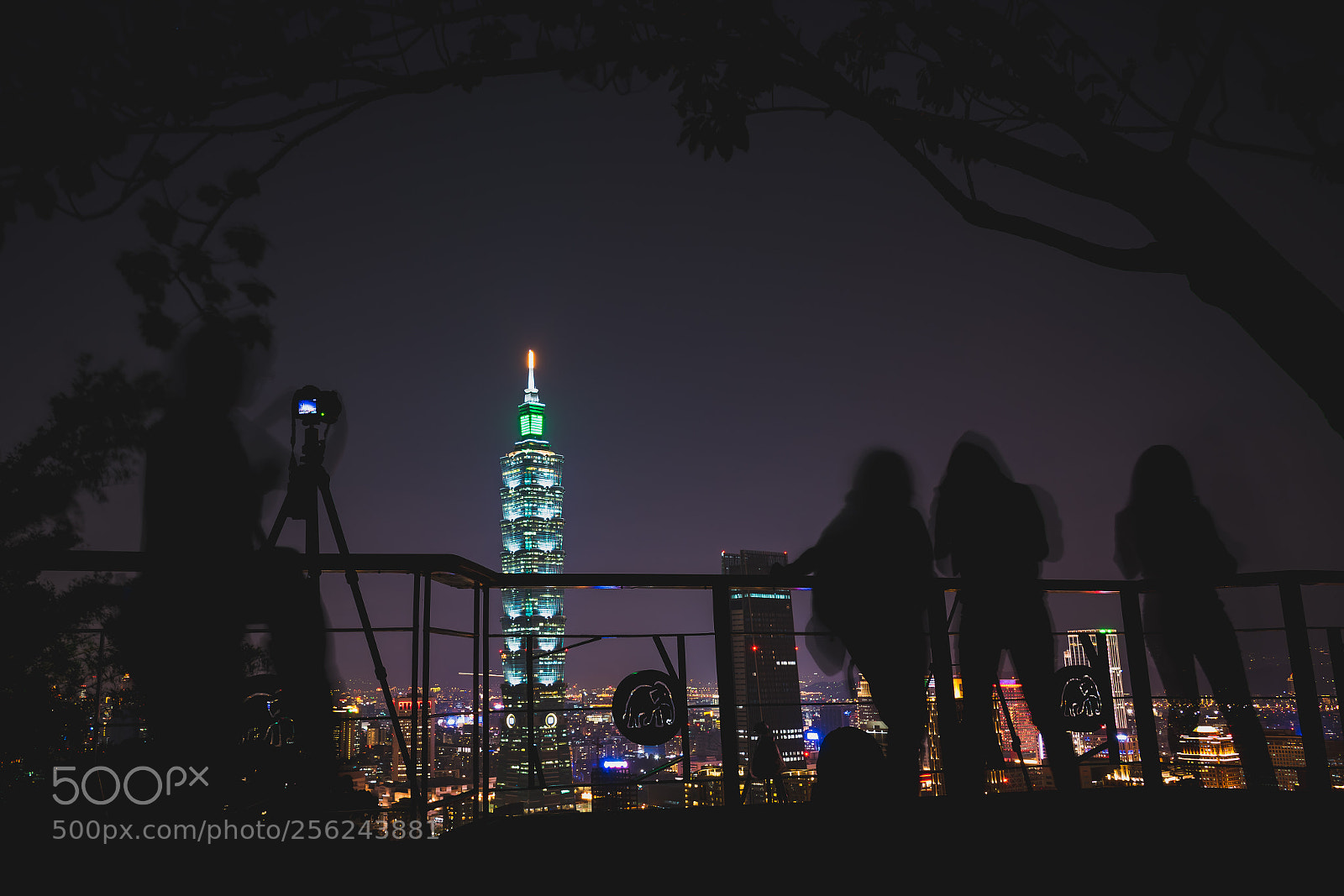 Nikon D750 sample photo. Photographic action photography