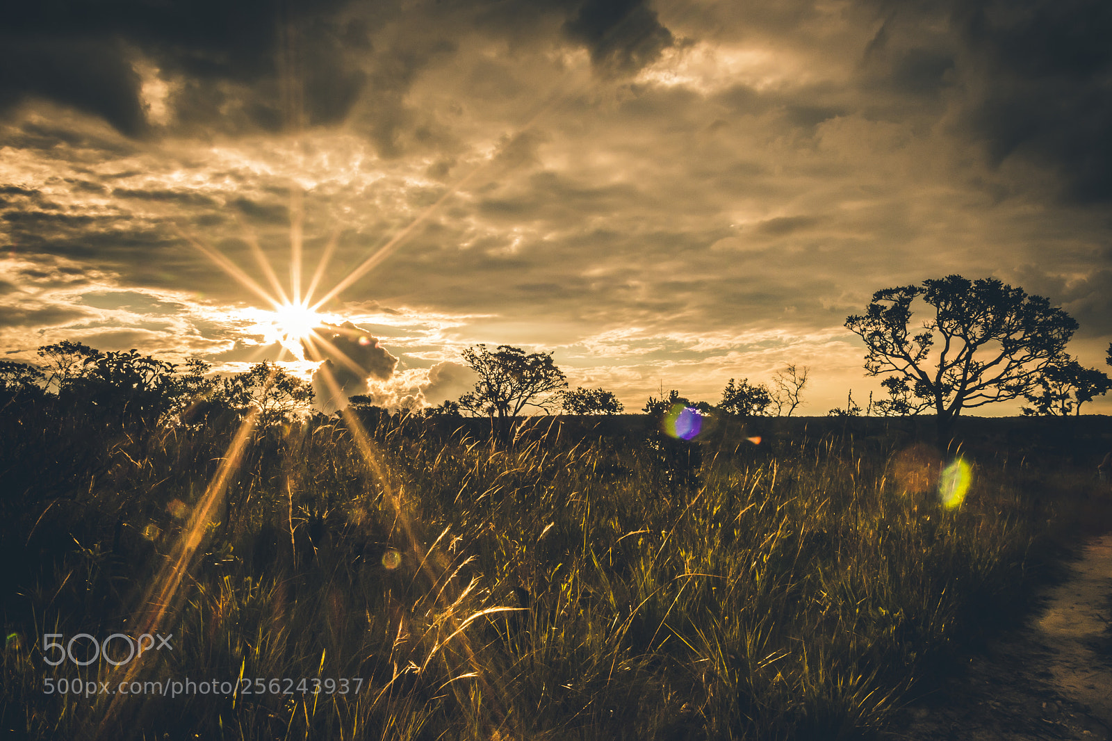 Nikon D7200 sample photo. Chapada dos veadeiros photography