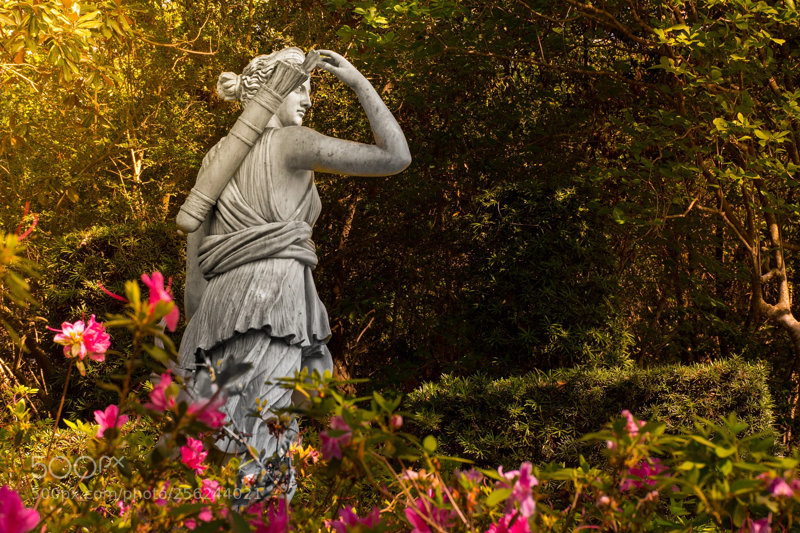 Nikon D7200 sample photo. Goddess artemis (diana) photography