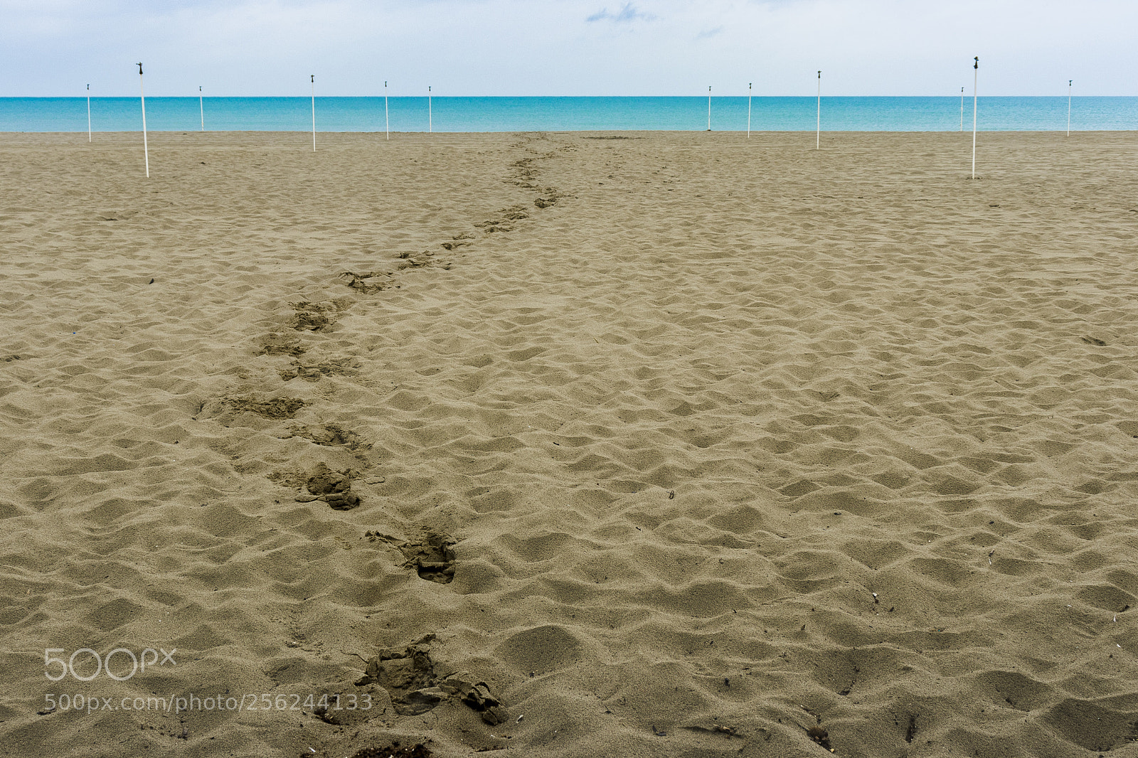 Canon EOS 80D sample photo. Path to the sea photography