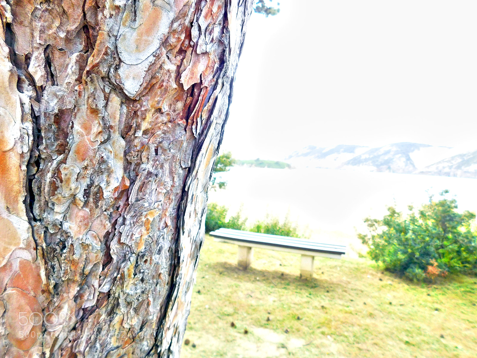 Nikon Coolpix L840 sample photo. Hiding photography