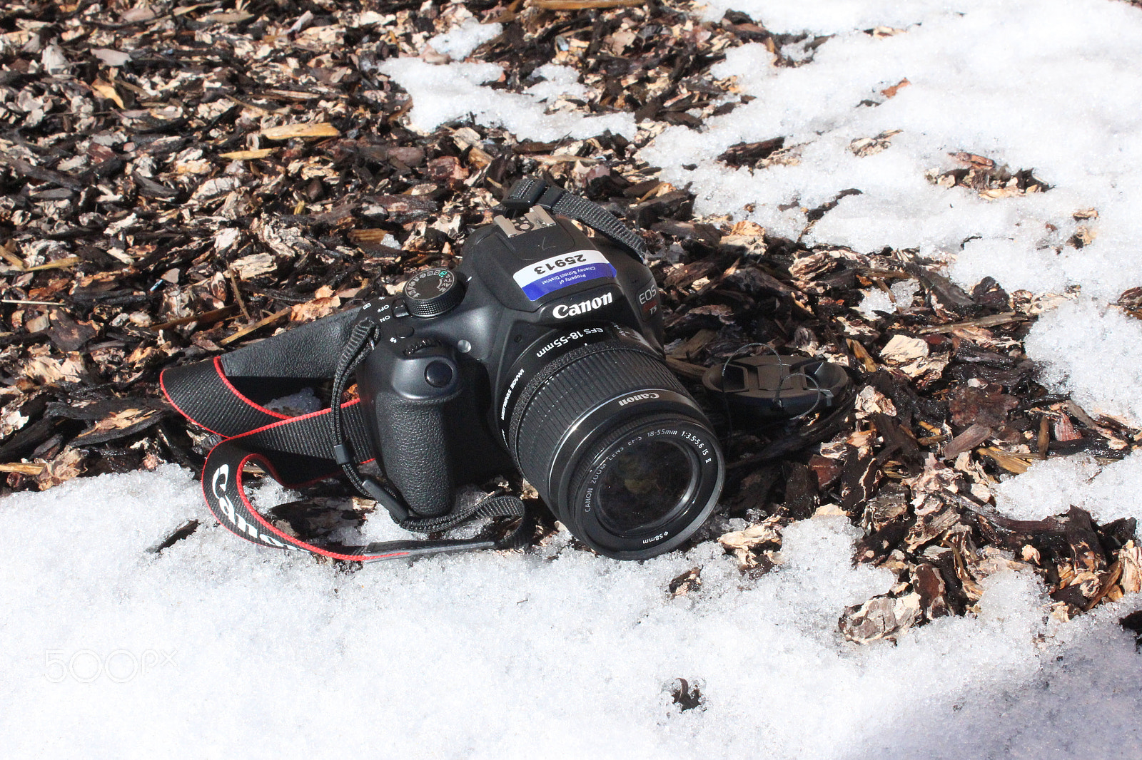 Canon EOS 1200D (EOS Rebel T5 / EOS Kiss X70 / EOS Hi) sample photo. Melted photography