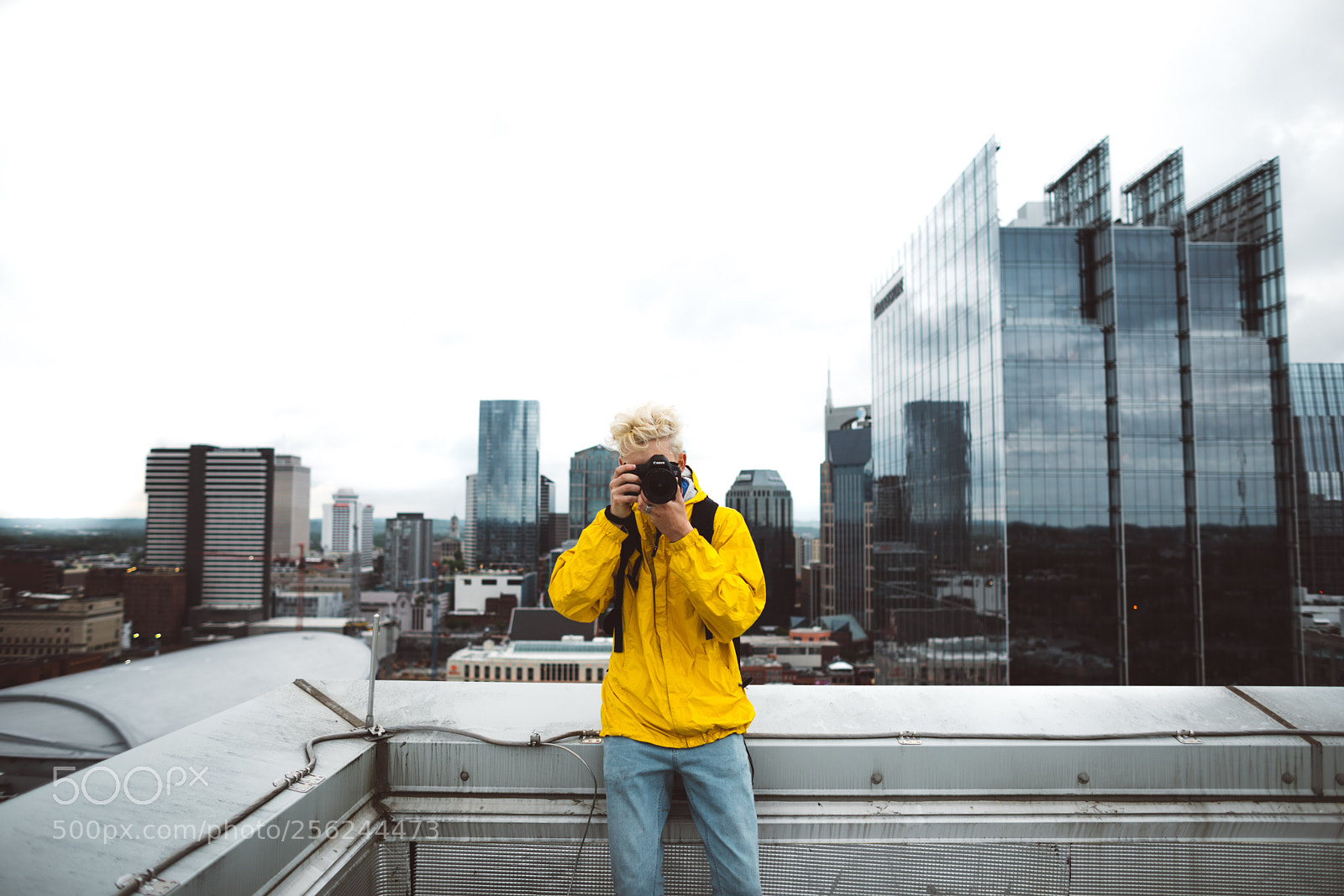 Canon EOS 5D Mark IV sample photo. Yellow photography