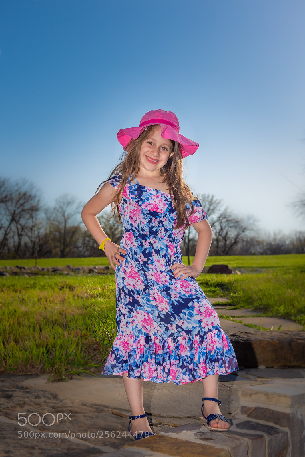 Nikon D810 sample photo. _8107779.jpg photography