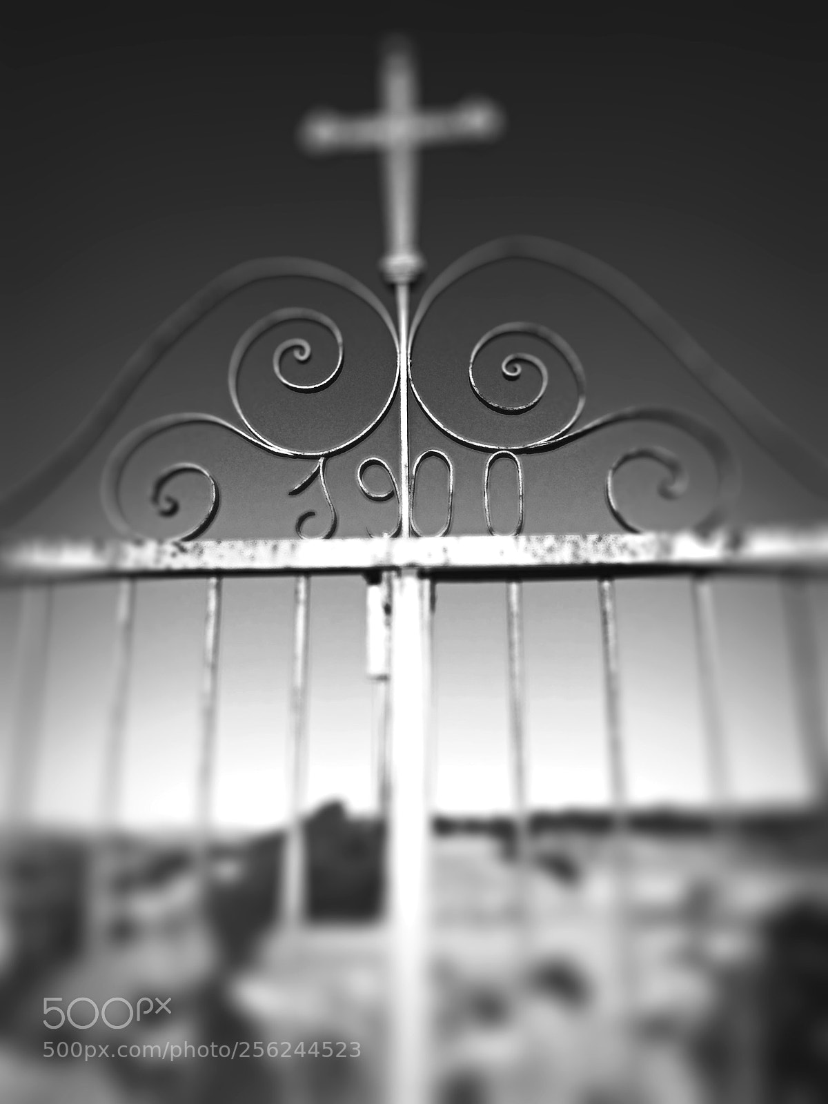 Apple iPhone 5s sample photo. 1900 photography