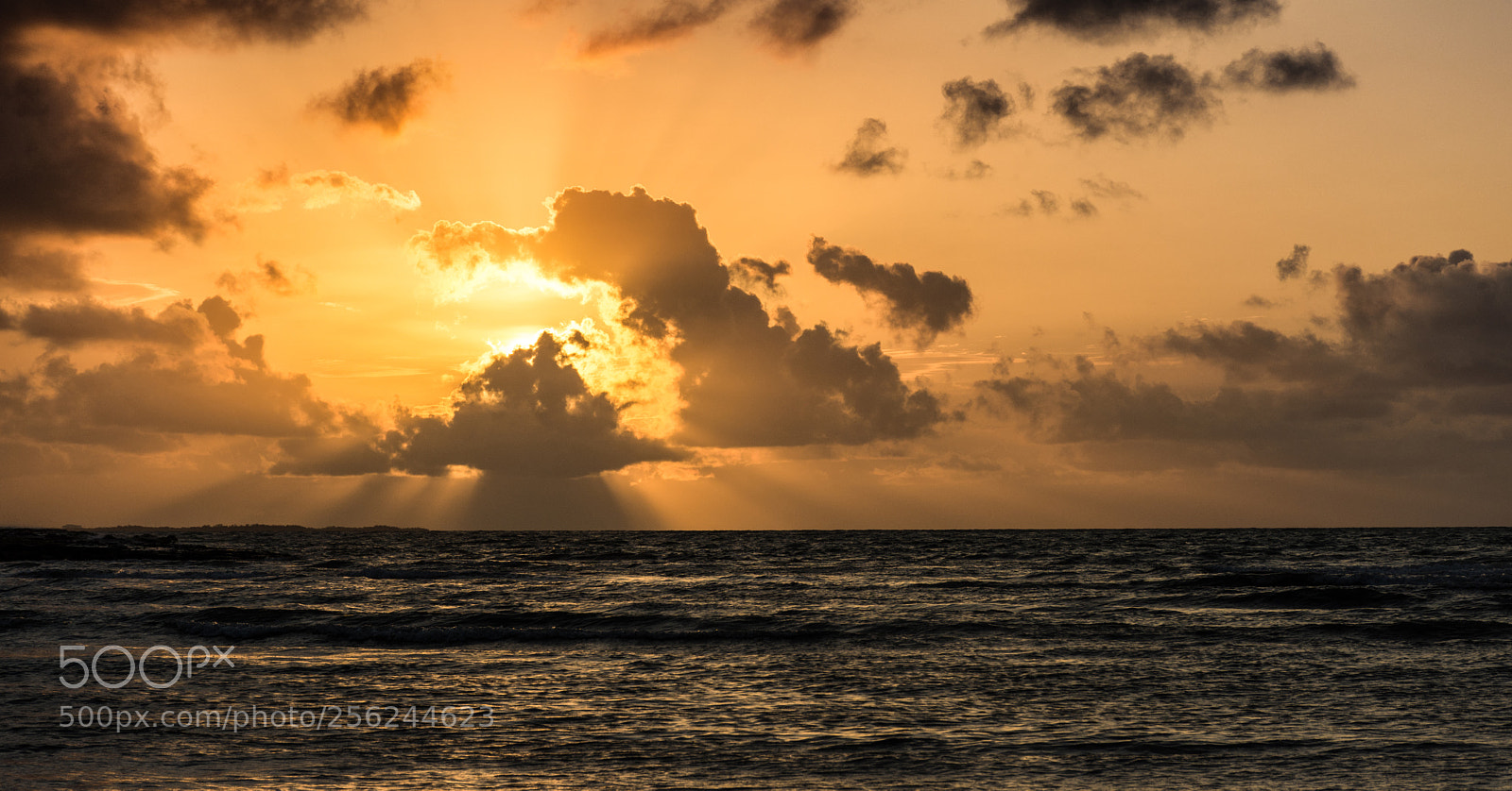Nikon D7200 sample photo. Rise photography
