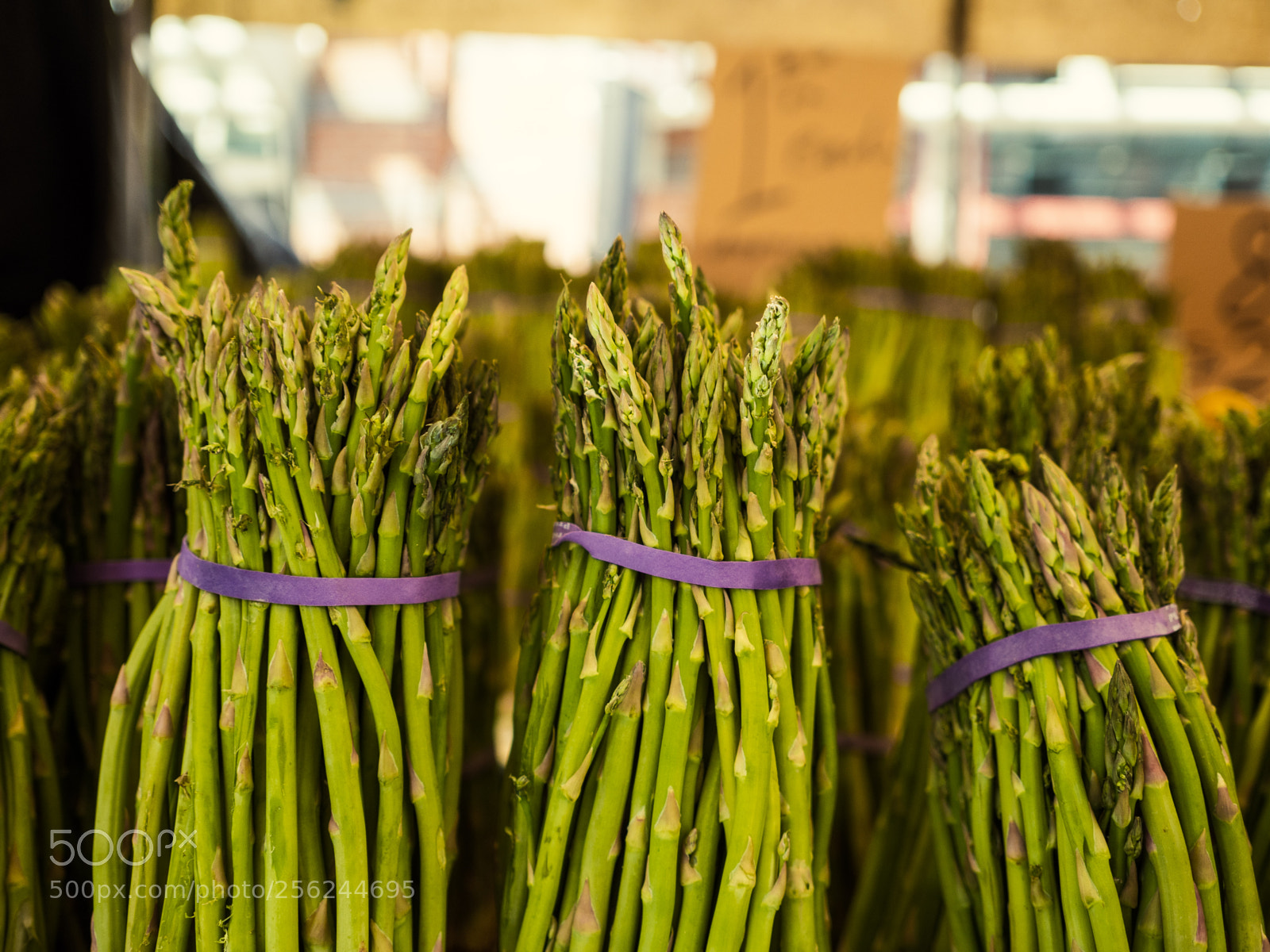 Olympus OM-D E-M10 sample photo. Asparagus at the market photography