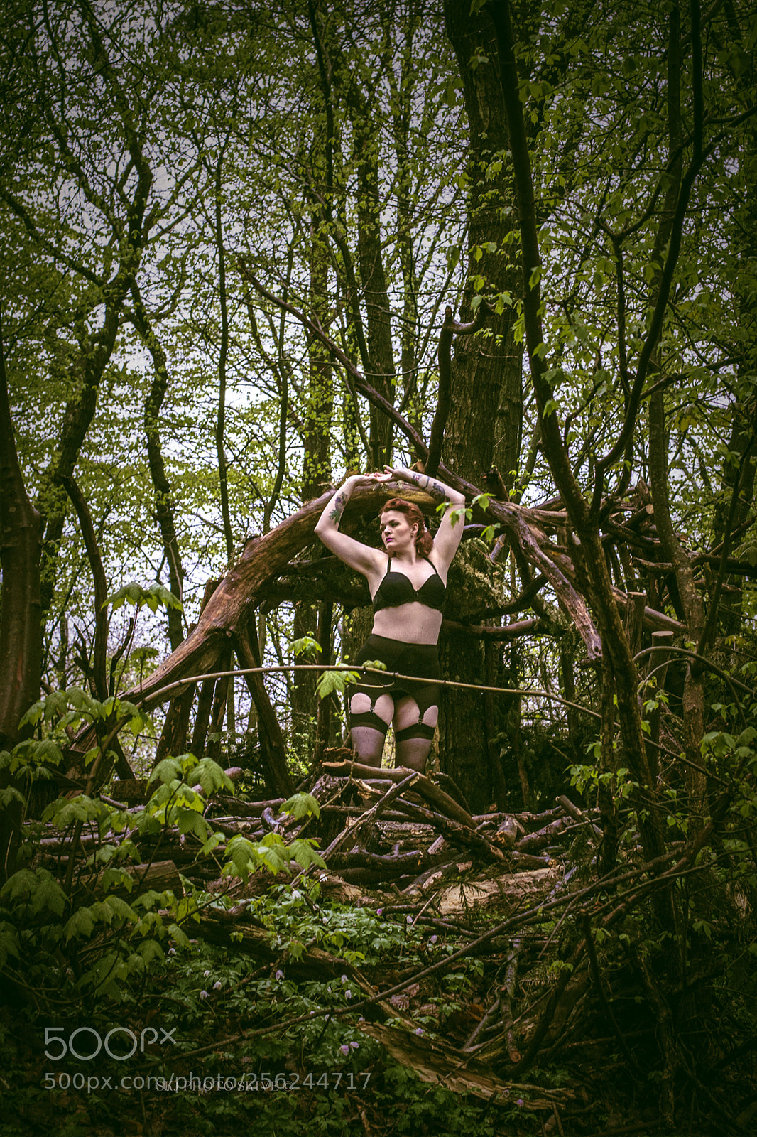 Nikon D3100 sample photo. Alone in the woods photography