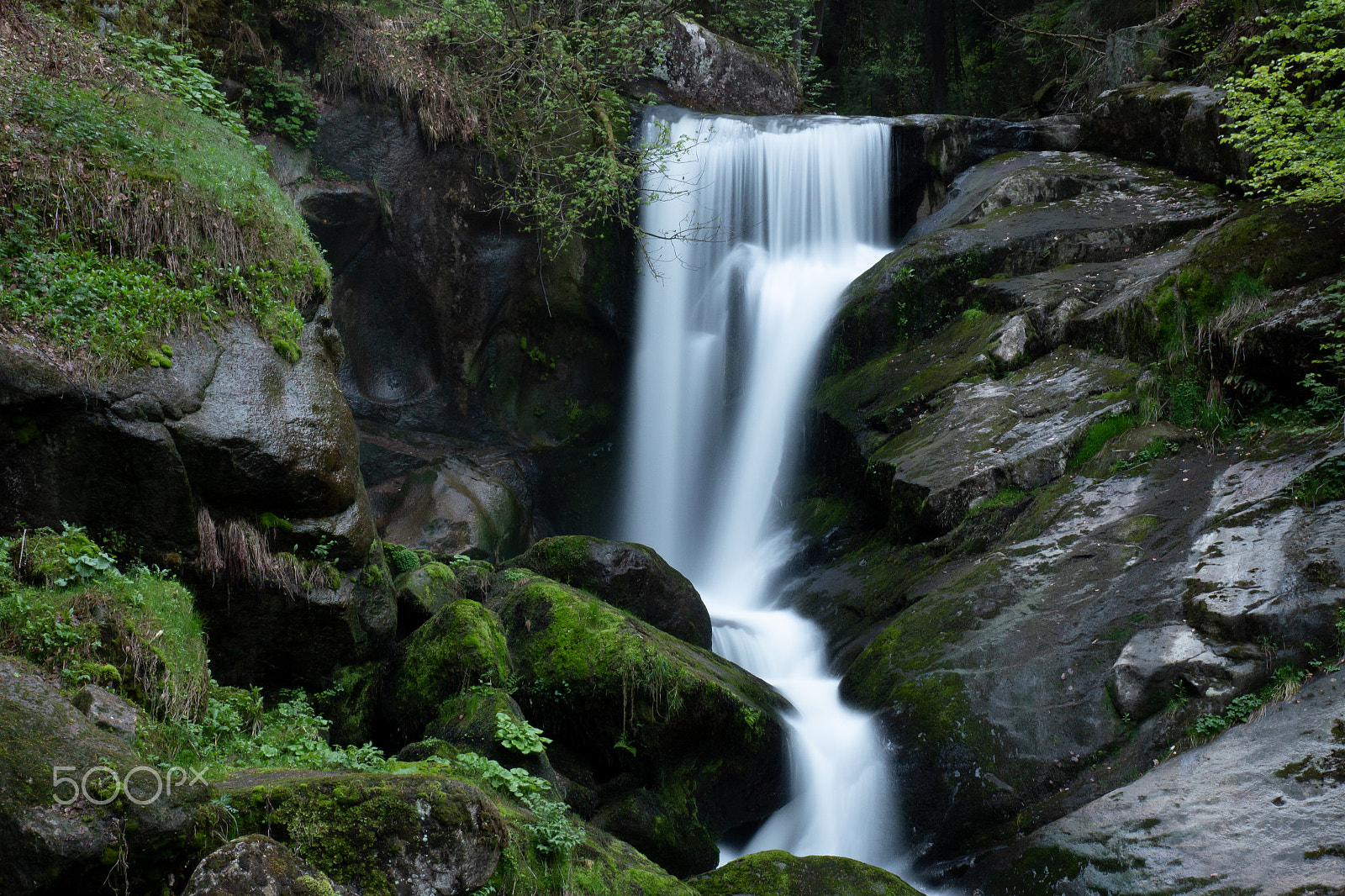 Panasonic Lumix DC-GX9 sample photo. Triberger wasserfall 3 photography