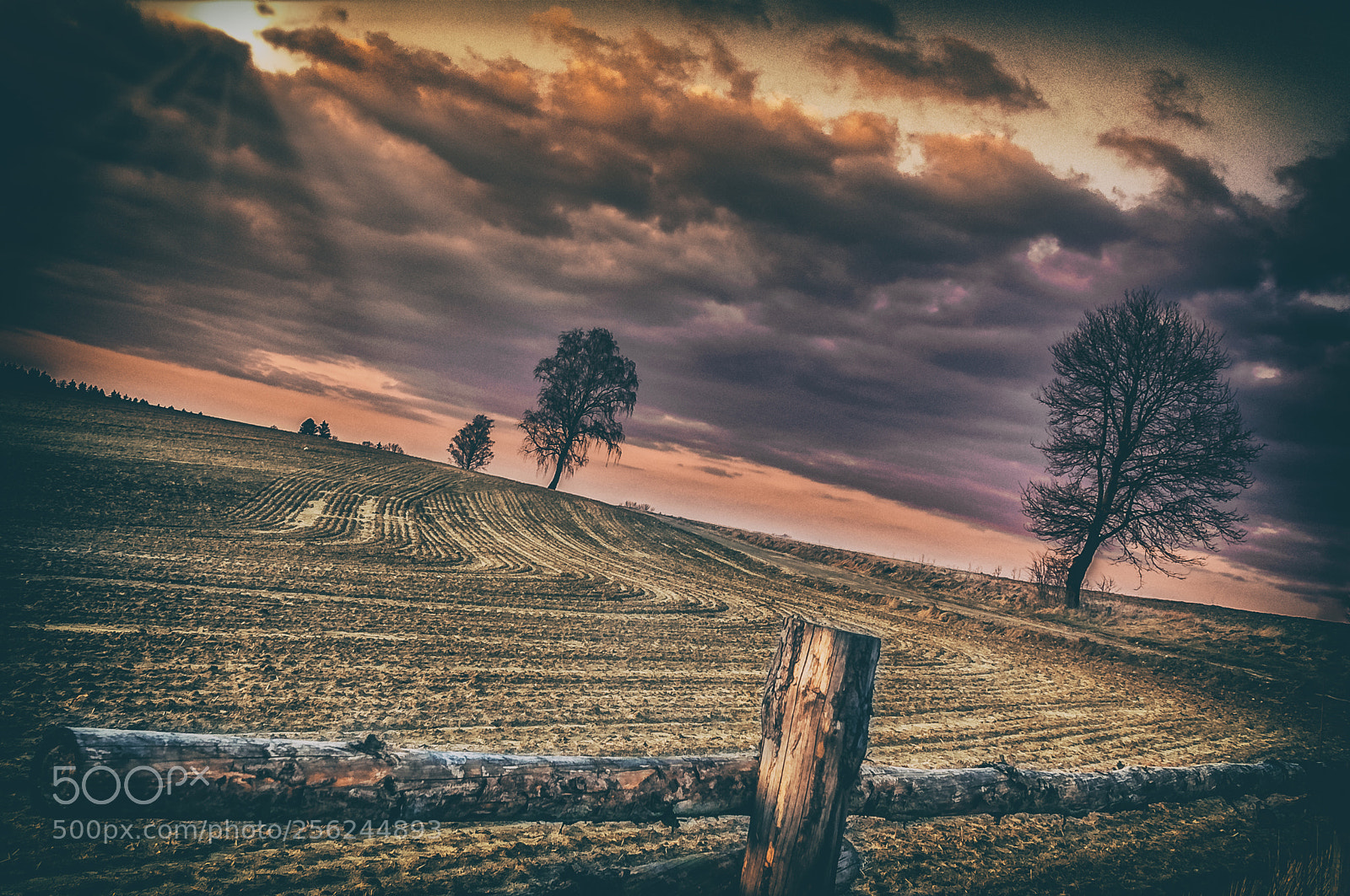 Nikon D300S sample photo. Askew photography