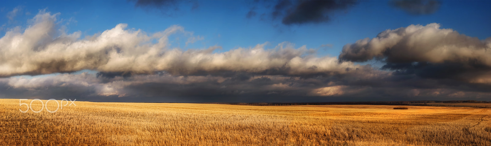 Sony a99 II sample photo. First spring storm photography