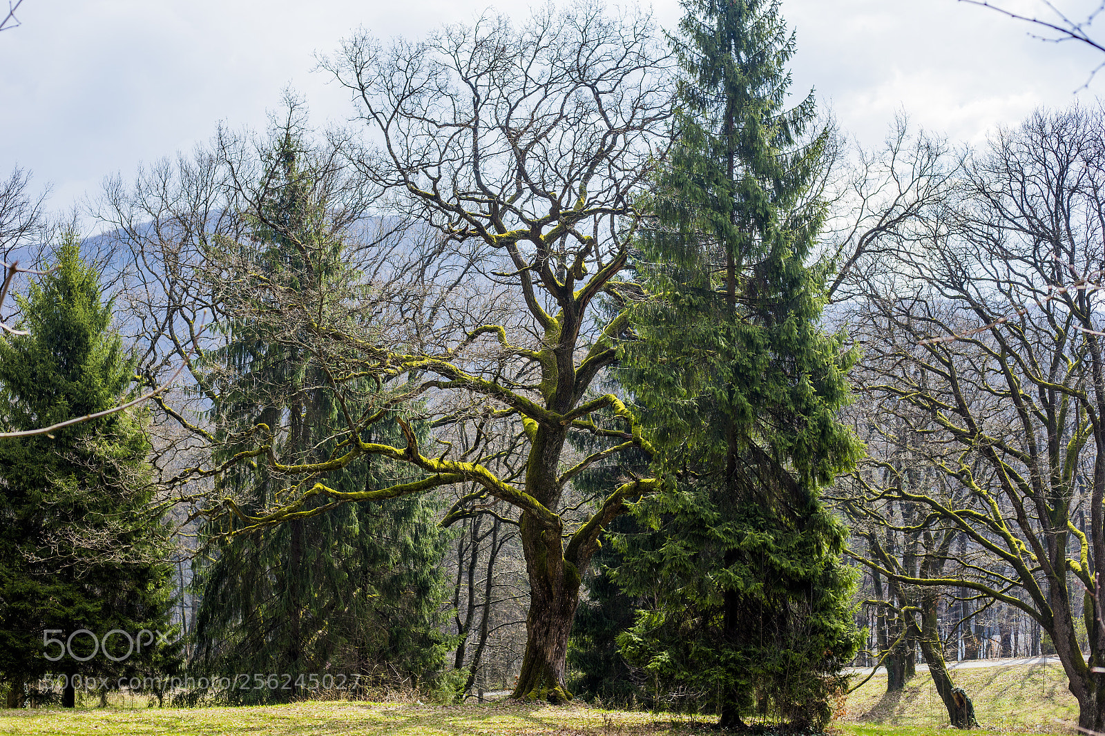 Canon EOS 6D sample photo. Img photography