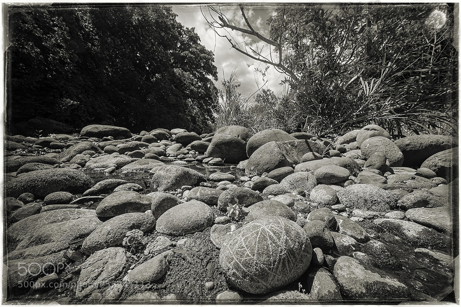 Nikon D4 sample photo. Petroglifos naturales photography