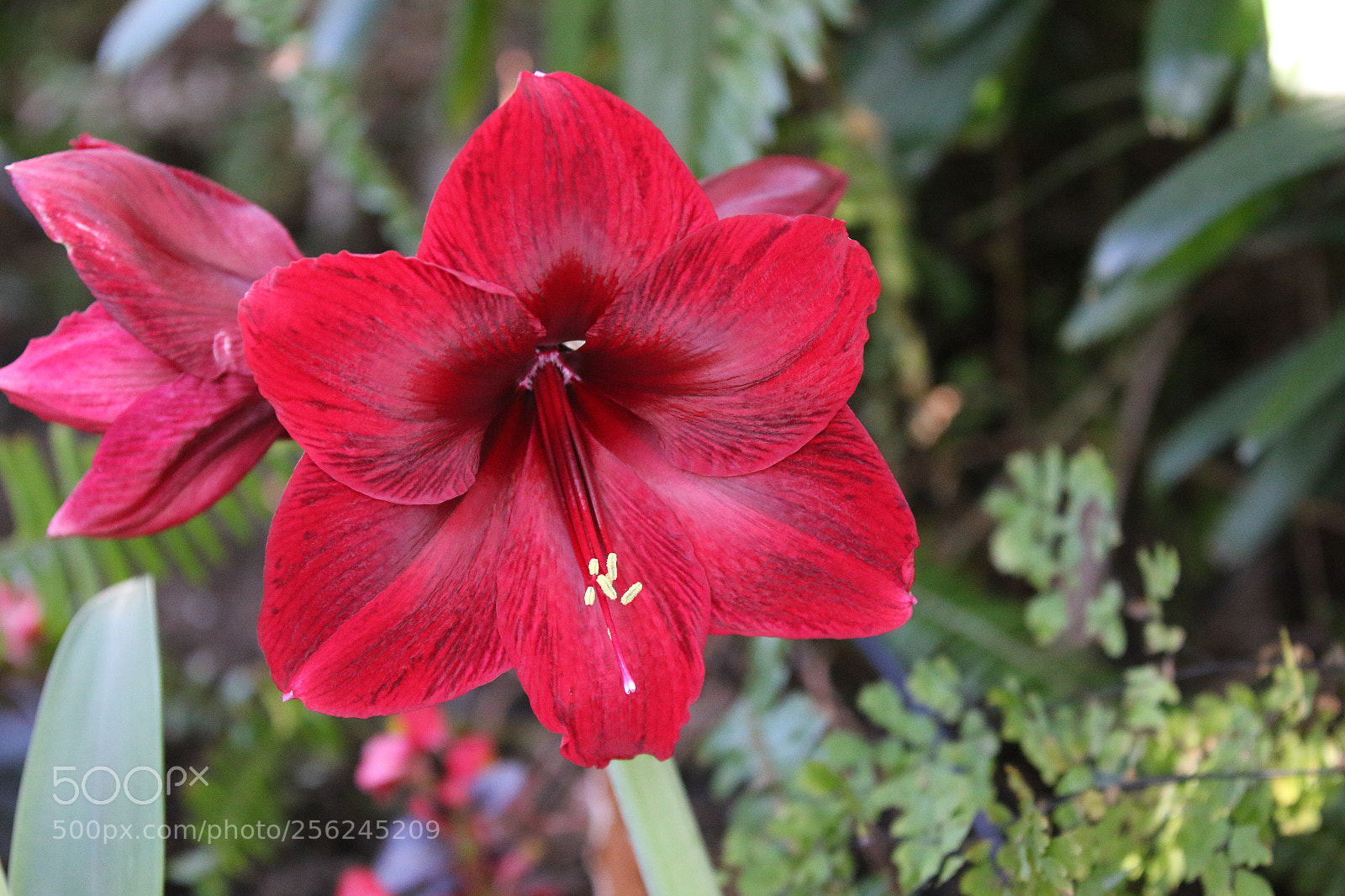Canon EOS 70D sample photo. Untitled photography
