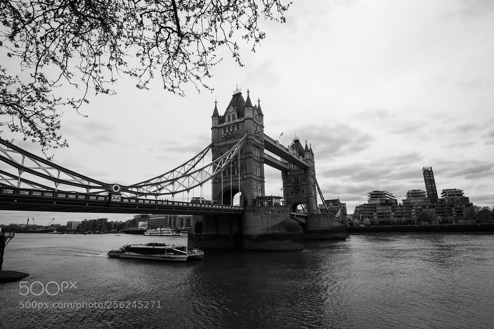 Nikon D5300 sample photo. Tower bridge photography
