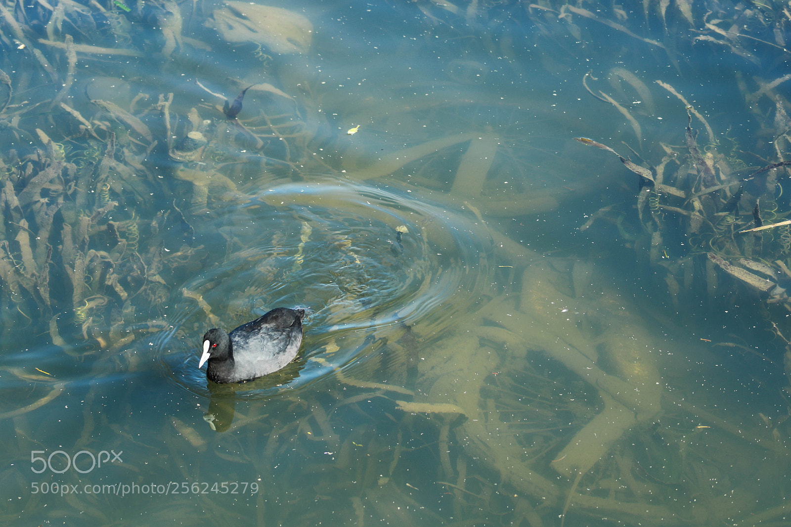 Canon EOS 7D Mark II sample photo. Found my bike !!!! photography