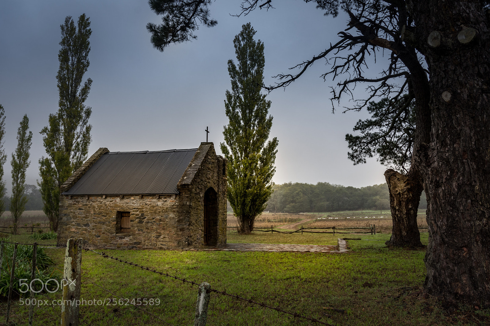 Nikon D7200 sample photo. Peque a capilla de photography