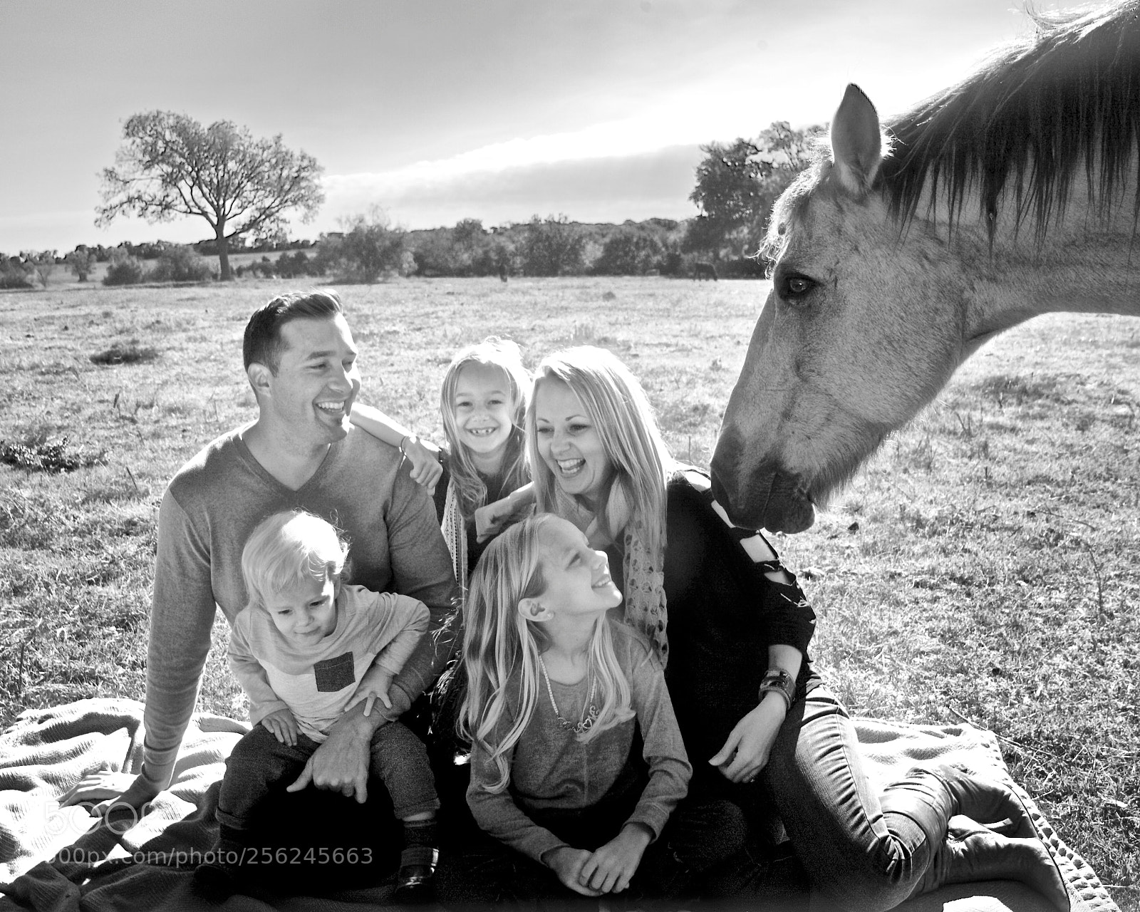 Canon EOS 5D Mark II sample photo. Horse photobomb photography