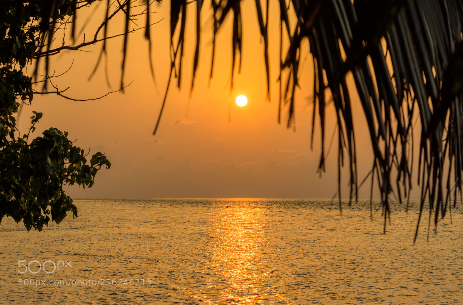 Pentax K-3 sample photo. Sunset in maldives. photography