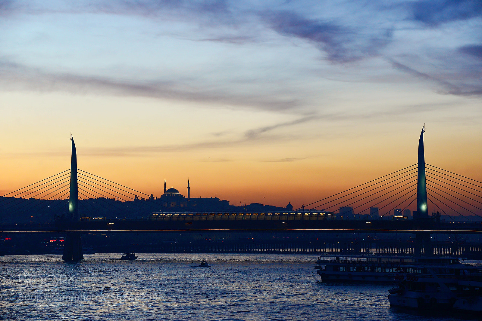 Nikon D600 sample photo. Untitled photography