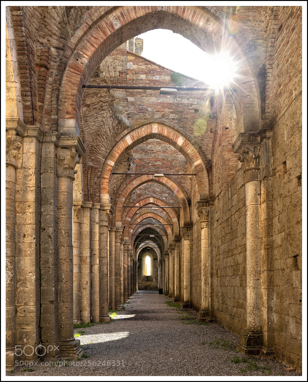 Canon EOS 6D Mark II sample photo. Abbazia di san galgano 1 photography