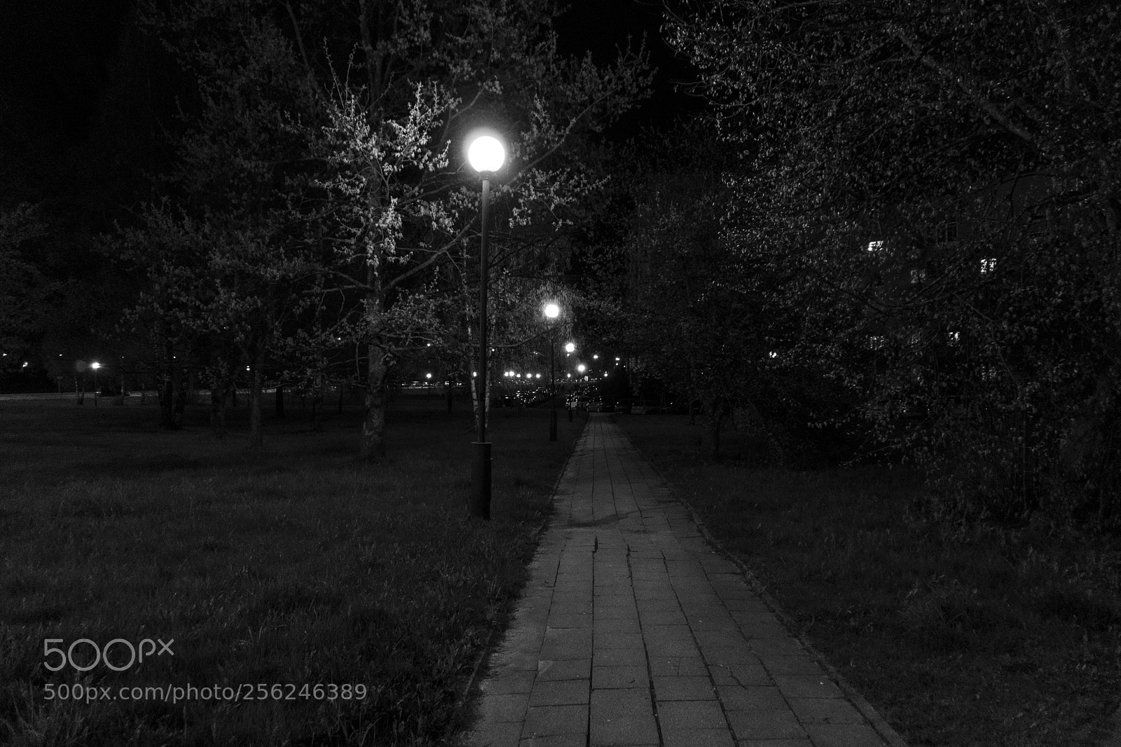 Sony a6300 sample photo. Dsc photography