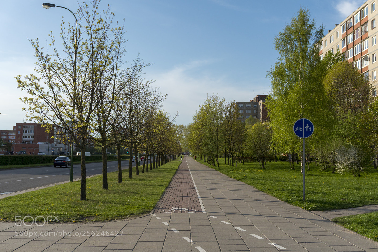 Sony a6300 sample photo. Dsc photography