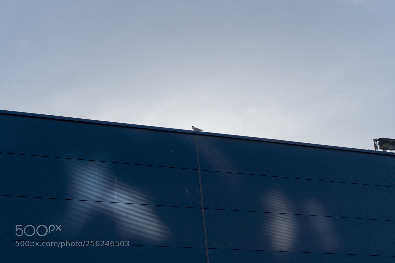 Sony a6300 sample photo. Dsc photography