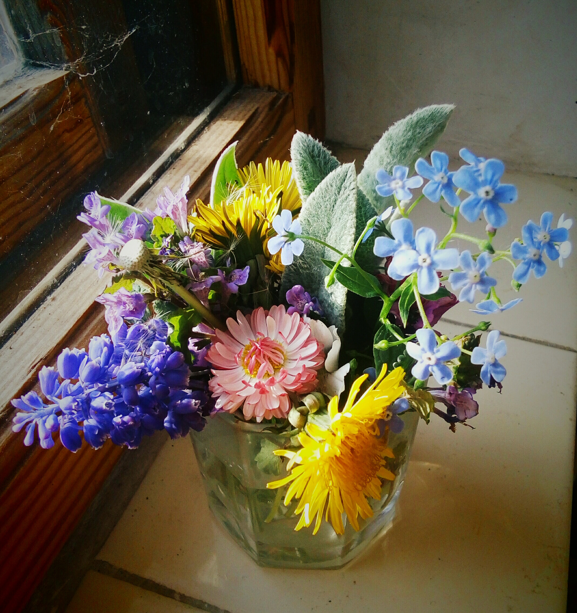 Meizu M5c sample photo. Springflowers photography
