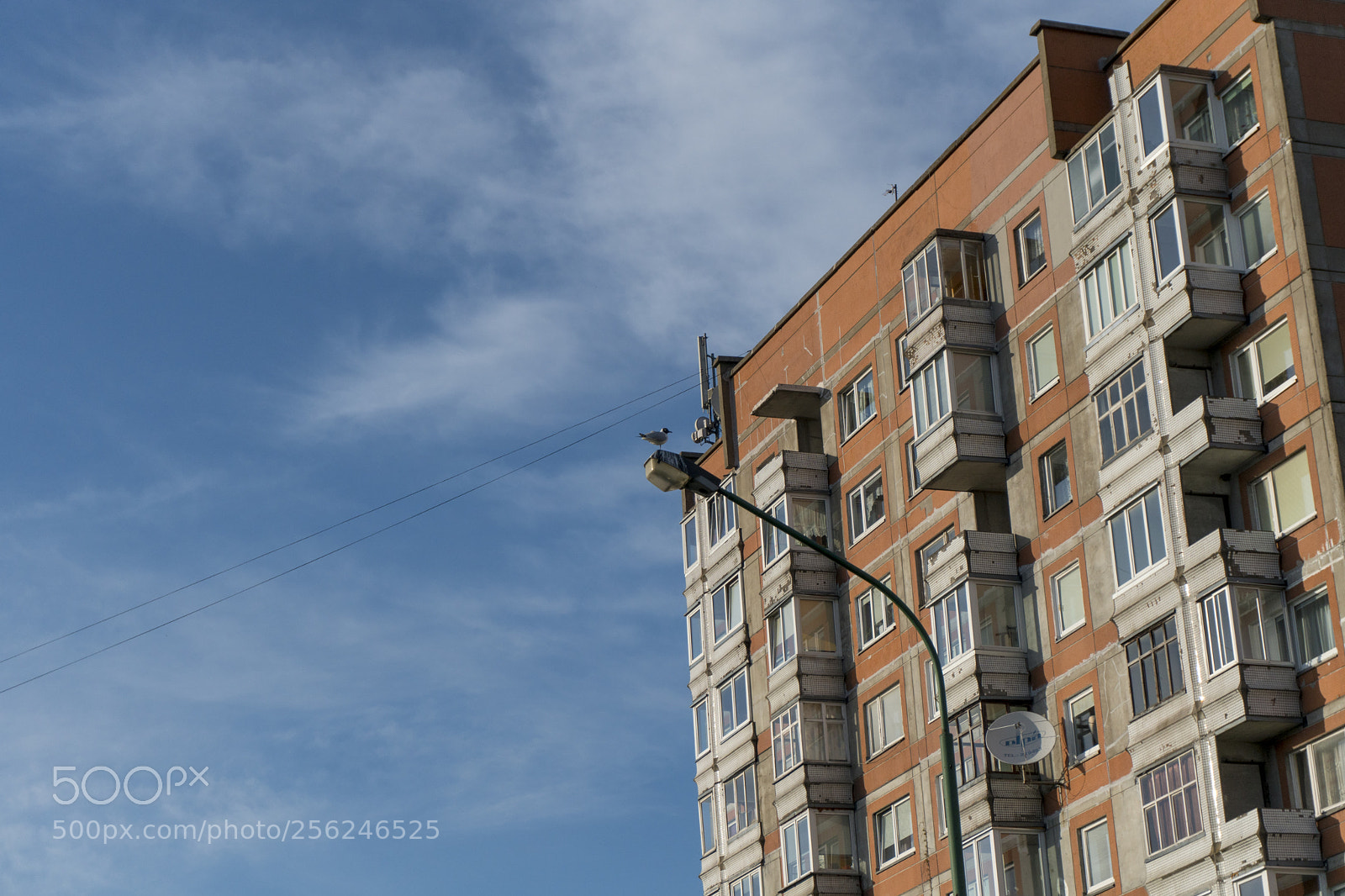 Sony a6300 sample photo. Dsc photography