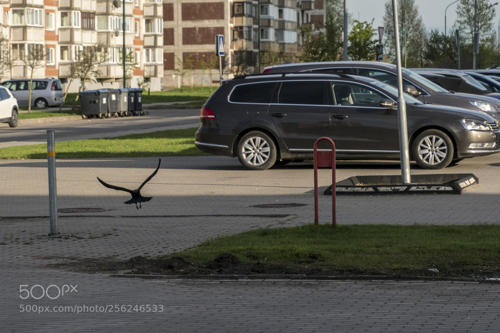 Sony a6300 sample photo. Dsc photography