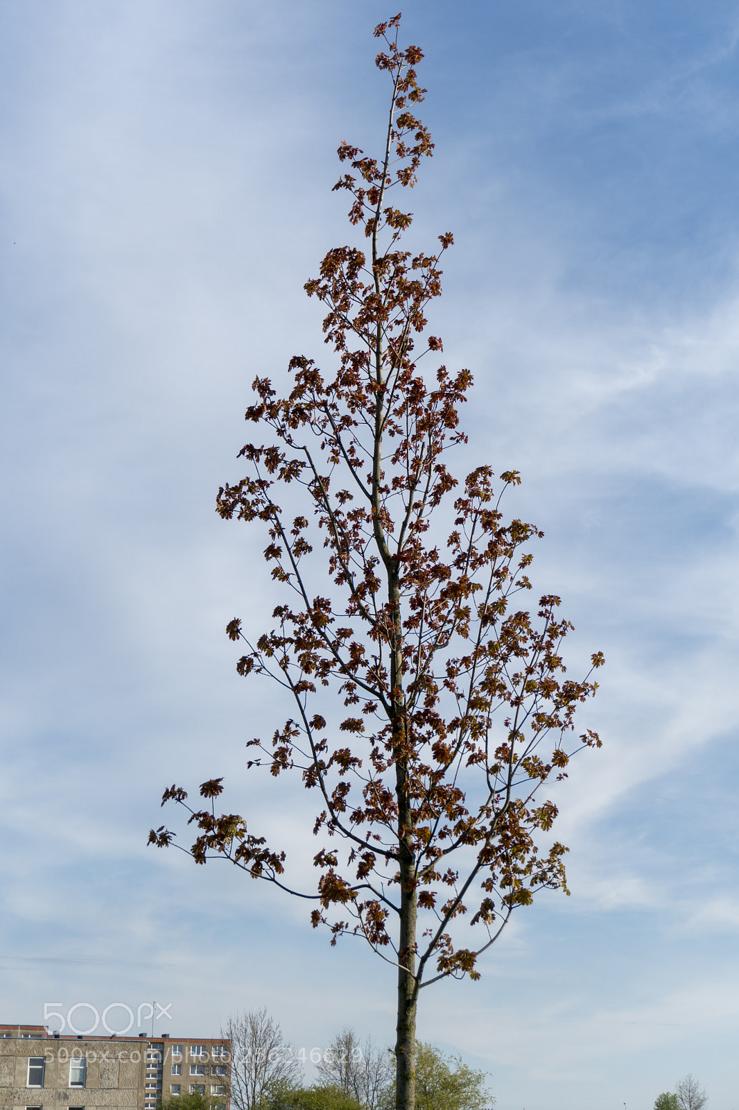 Sony a6300 sample photo. Dsc photography