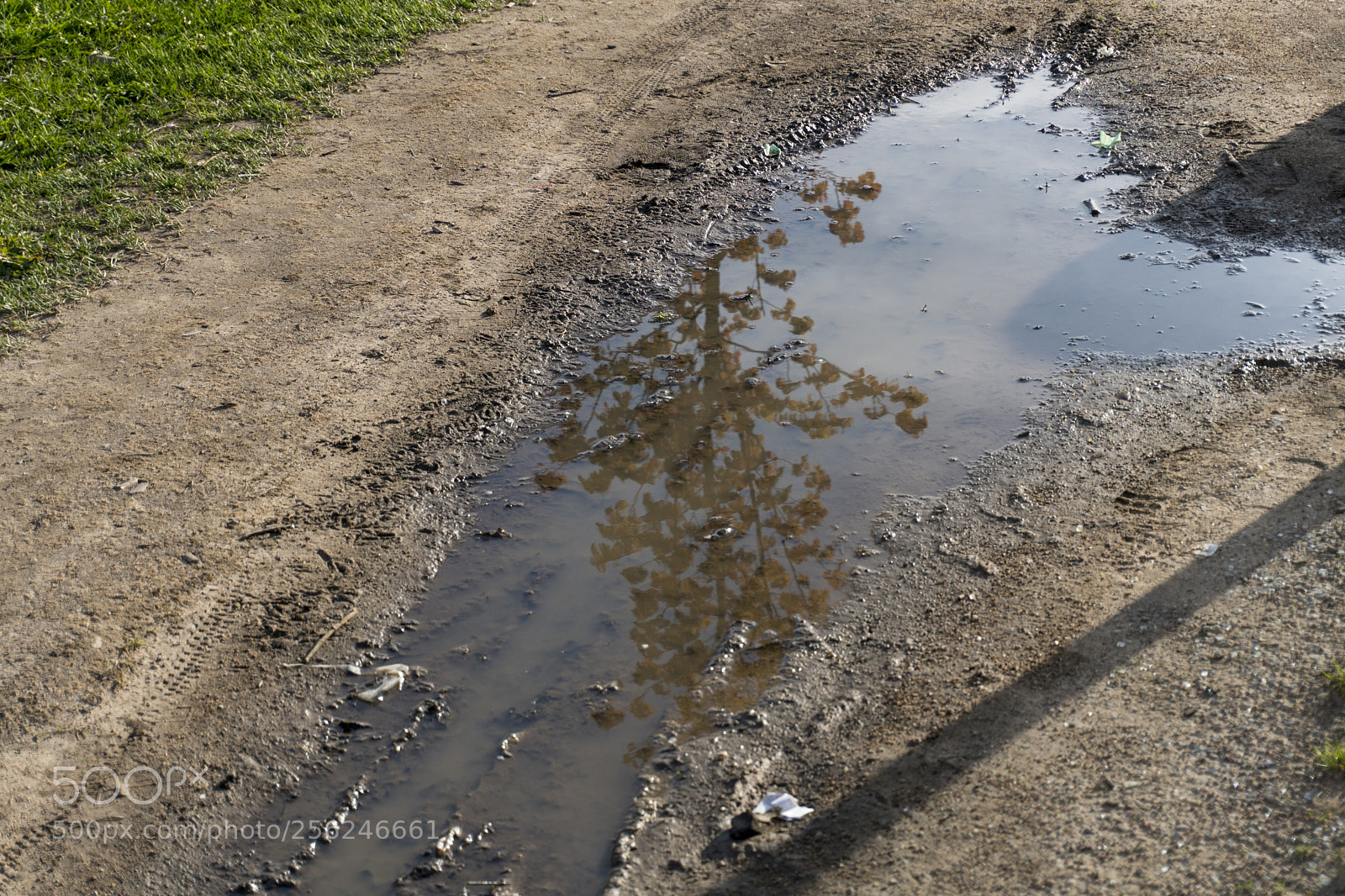 Sony a6300 sample photo. Dsc photography