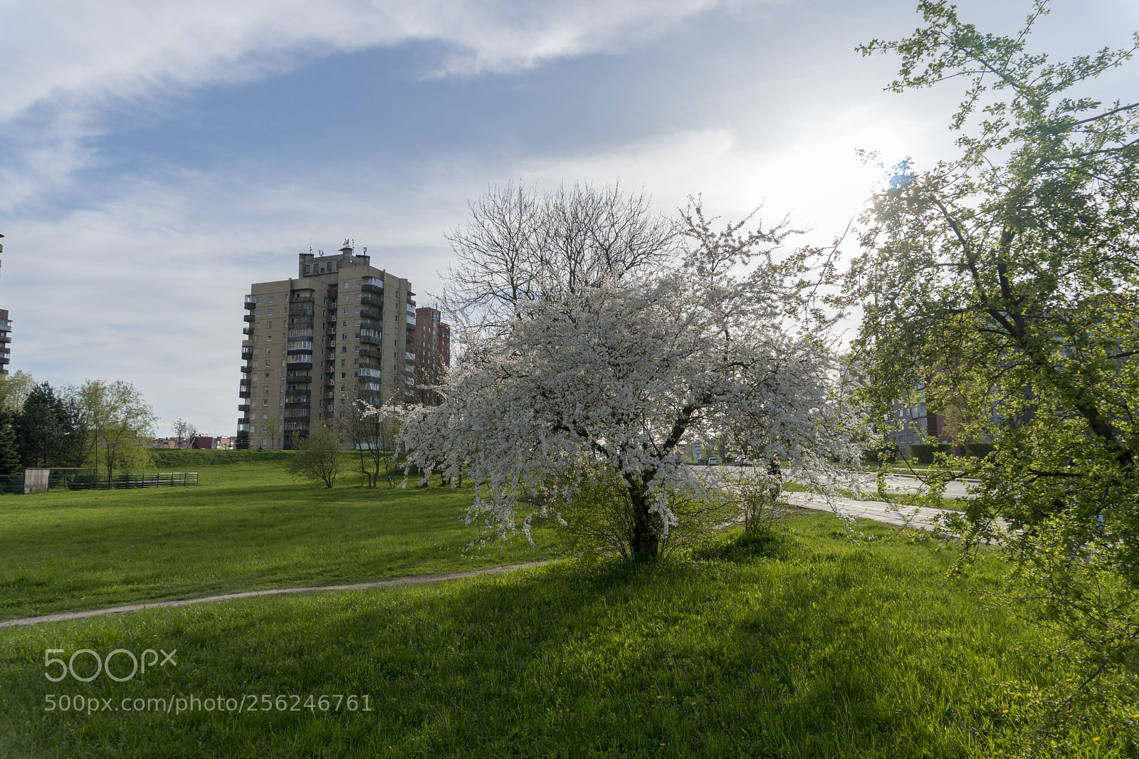 Sony a6300 sample photo. Dsc photography