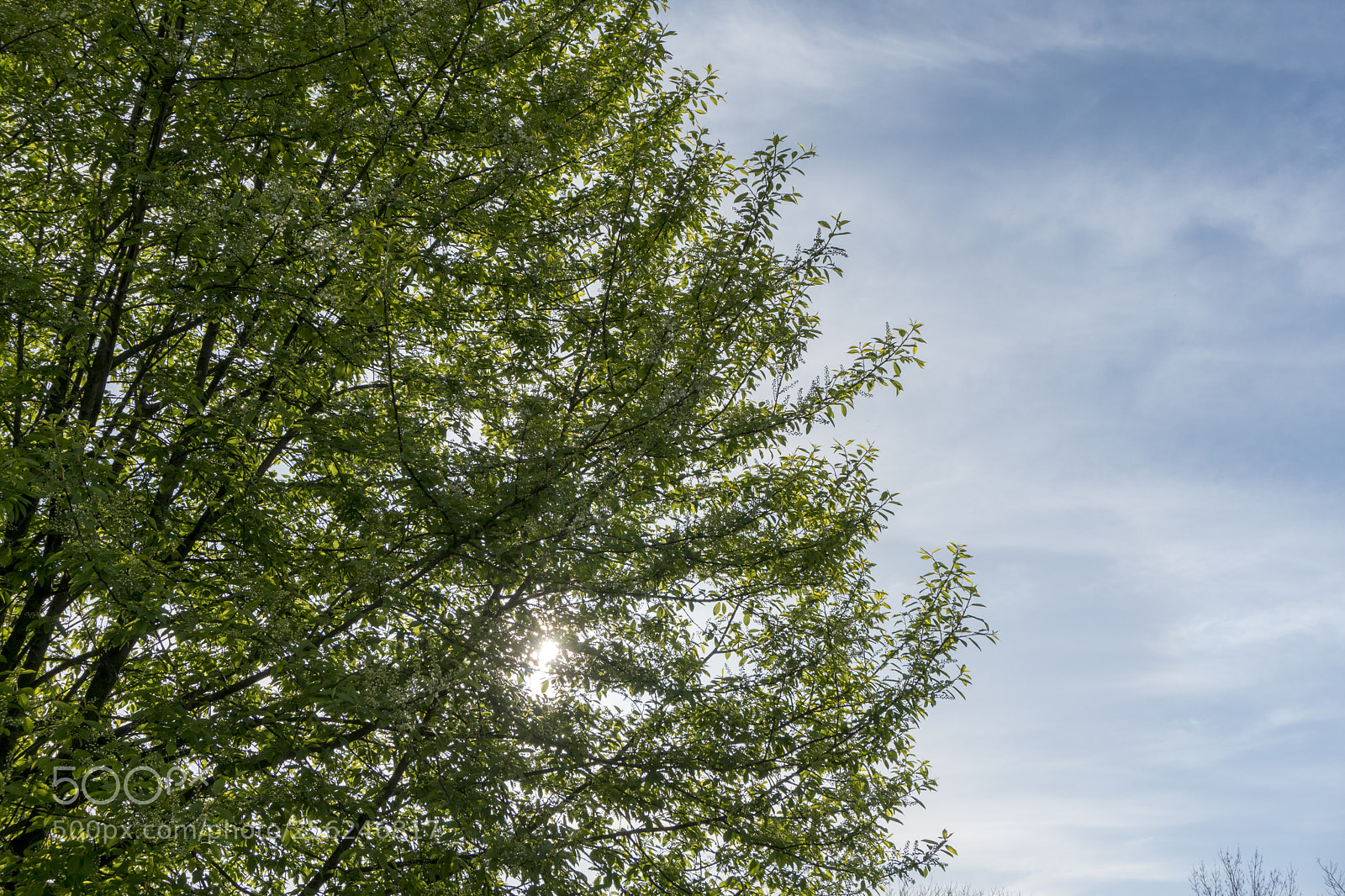 Sony a6300 sample photo. Dsc photography