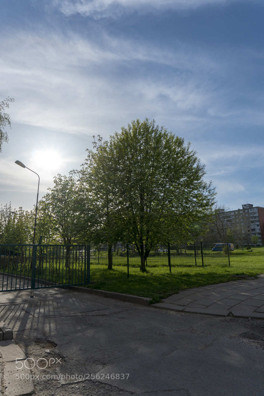 Sony a6300 sample photo. Dsc photography