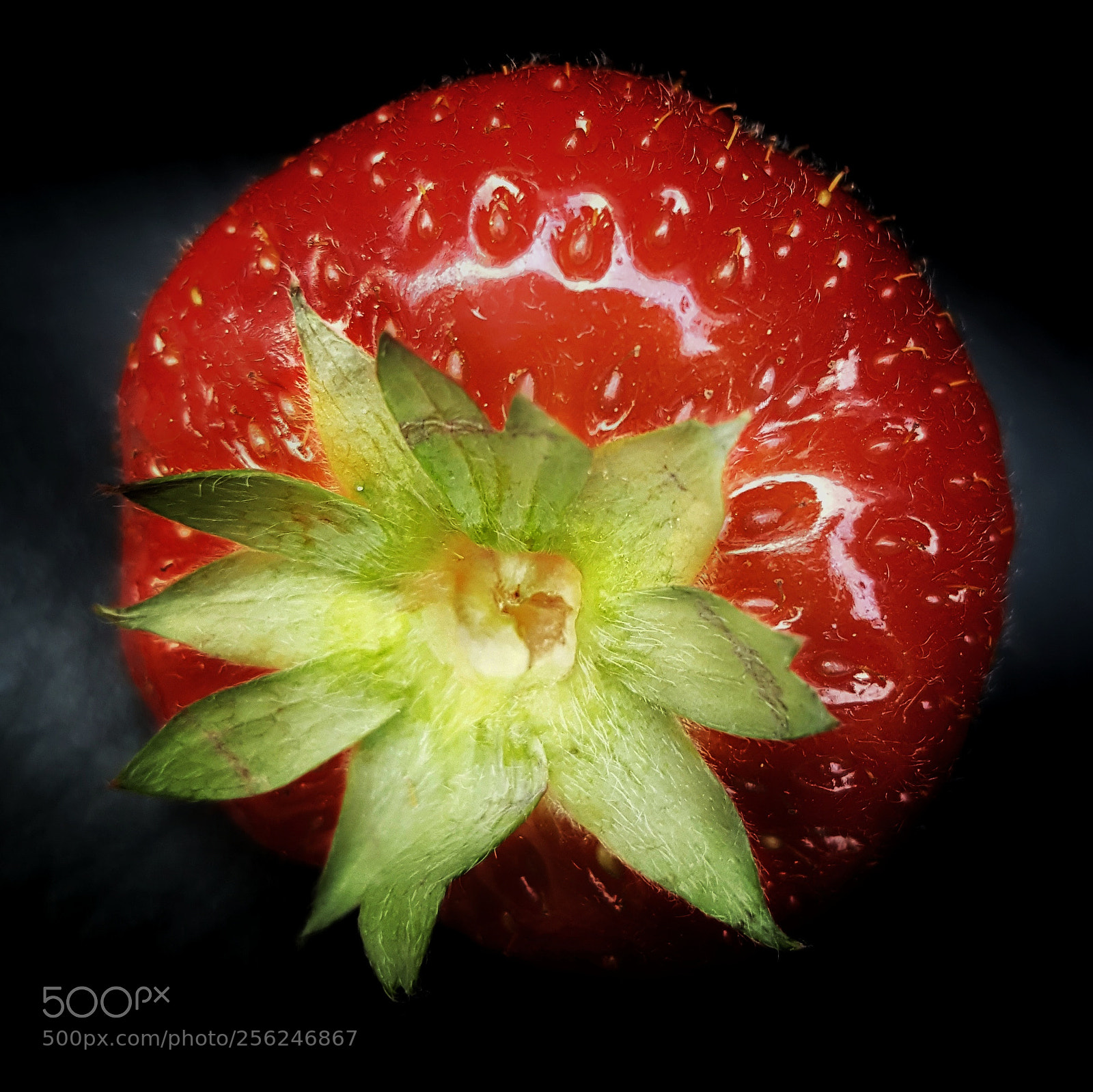 Samsung Galaxy S6 sample photo. • strawberry • photography