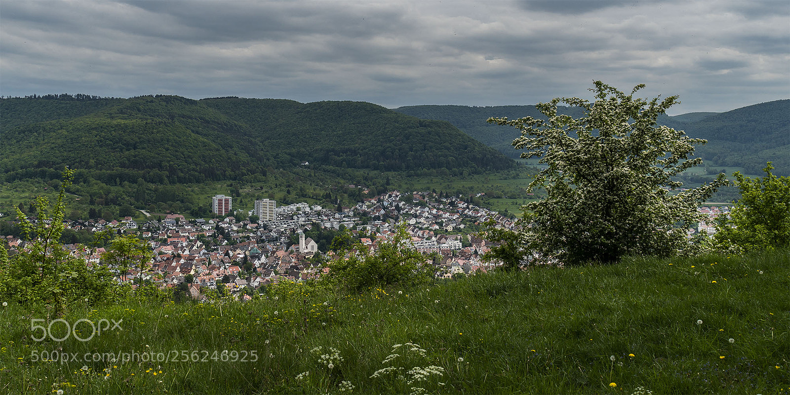 Sony a6300 sample photo. Eningen unter achalm 02052018 photography