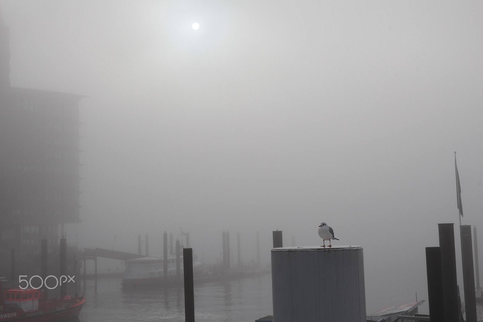 Canon EF 16-35mm F4L IS USM sample photo. Nebel photography
