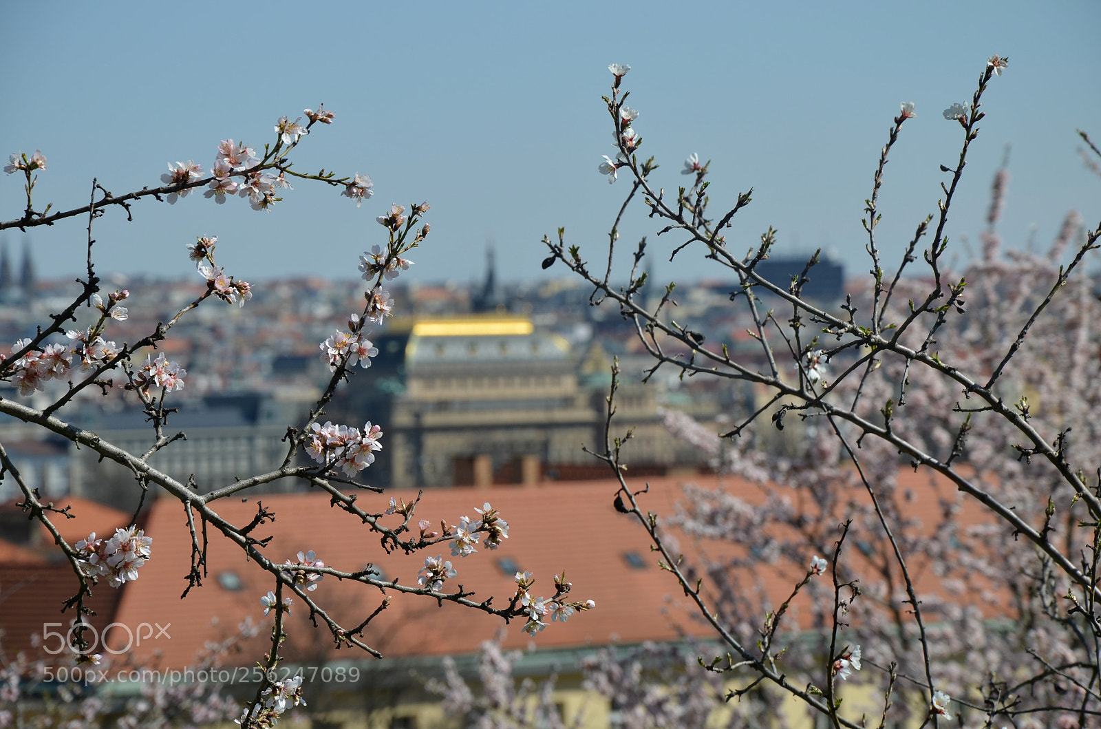 Nikon D5100 sample photo. Blurred national theatre photography